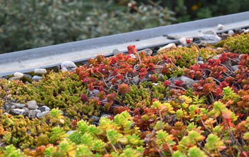 the cost of Colburn green roof installation