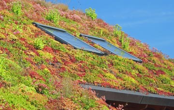 Colburn living roof systems